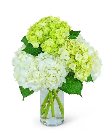 Floral Arrangements